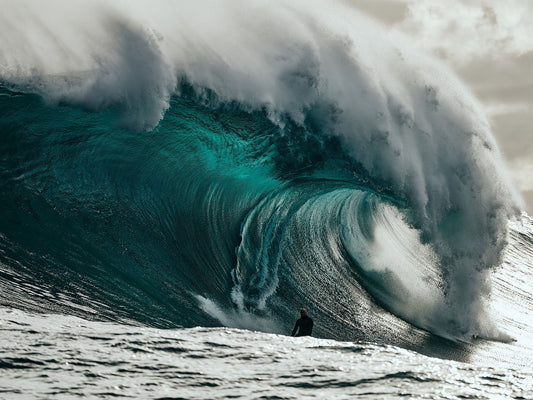 The Rawness And The Bombie